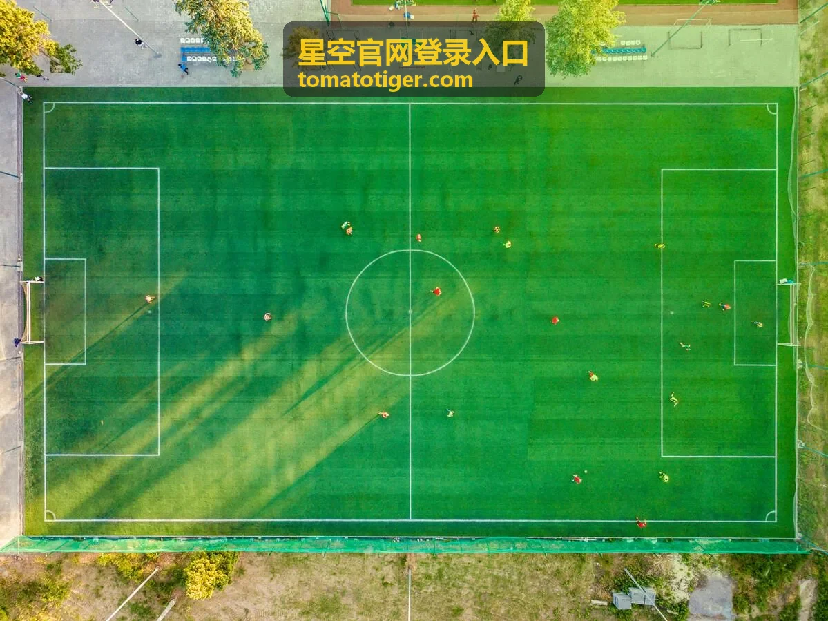 星空官网登录入口移动端网页通道操作配图