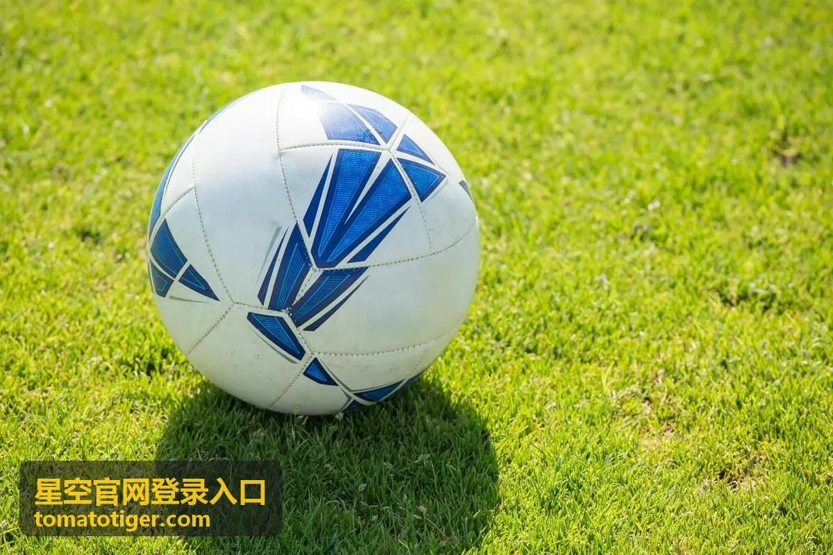 星空官网登录入口页面打不开排查顺序配图