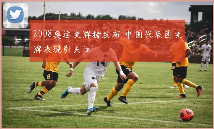 2008奥运奖牌榜发布 中国代表团奖牌表现引关注