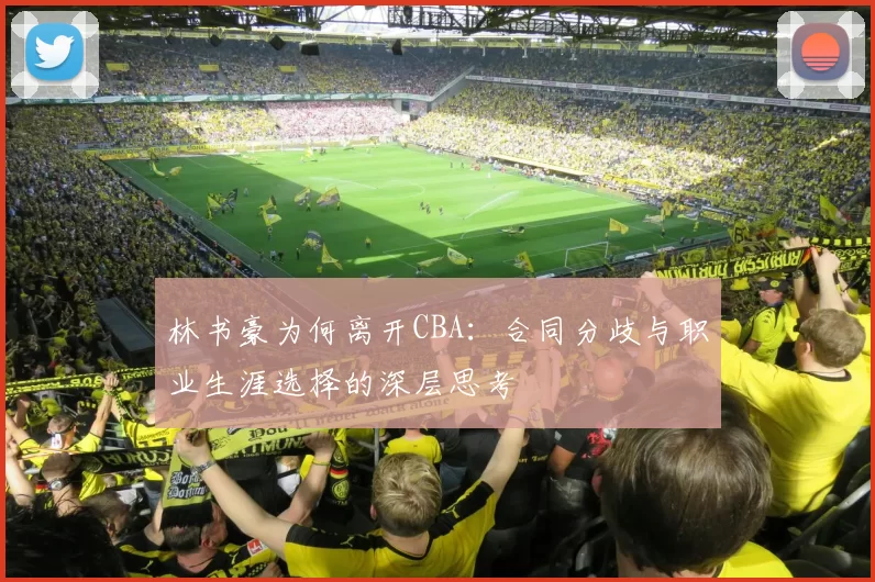 林书豪为何离开CBA：合同分歧与职业生涯选择的深层思考