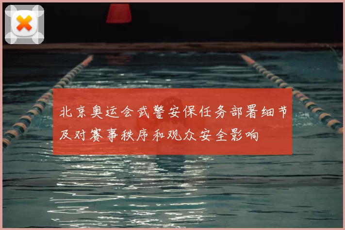 北京奥运会武警安保任务部署细节及对赛事秩序和观众安全影响