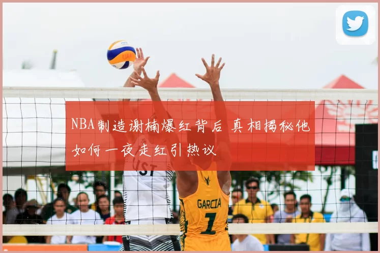 NBA制造谢楠爆红背后 真相揭秘他如何一夜走红引热议